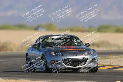 media/Oct-14-2023-Lucky Dog Racing (Sat) [[cef75db616]]/Turn 15 (315pm)/